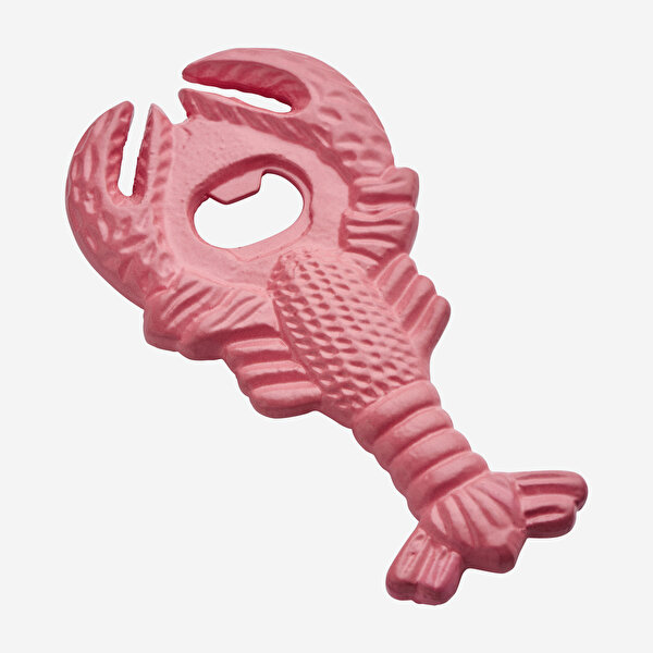 Chiara Alessi Pembe Paslanmaz Çelik Açacak